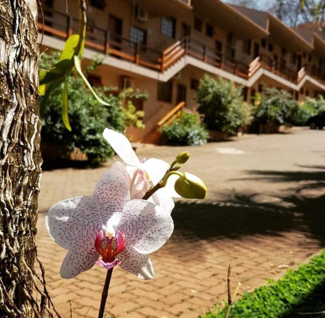 Hotel Pousada Santa Rita Ribeirão Preto Exteriör bild