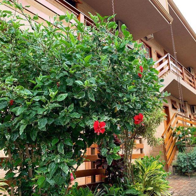 Hotel Pousada Santa Rita Ribeirão Preto Exteriör bild